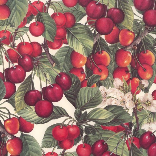Red Cherries Italian Paper ~ Tassotti